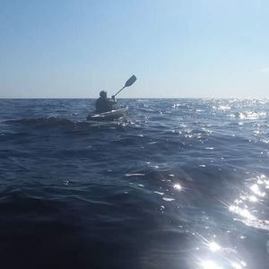 Meet your Posher, Joyce